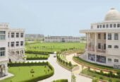 Noida International University