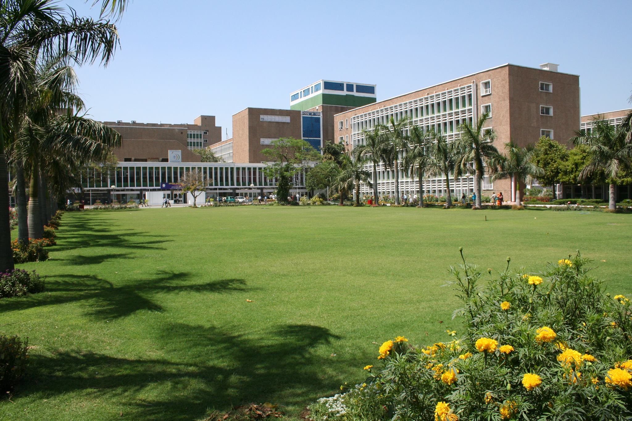 All India Institute Of Medical Sciences Delhi