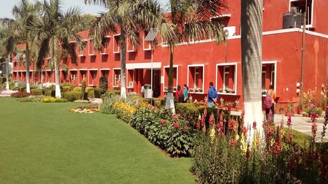 Daulat Ram College ( Delhi University )