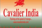 Cavalier India Lucknow