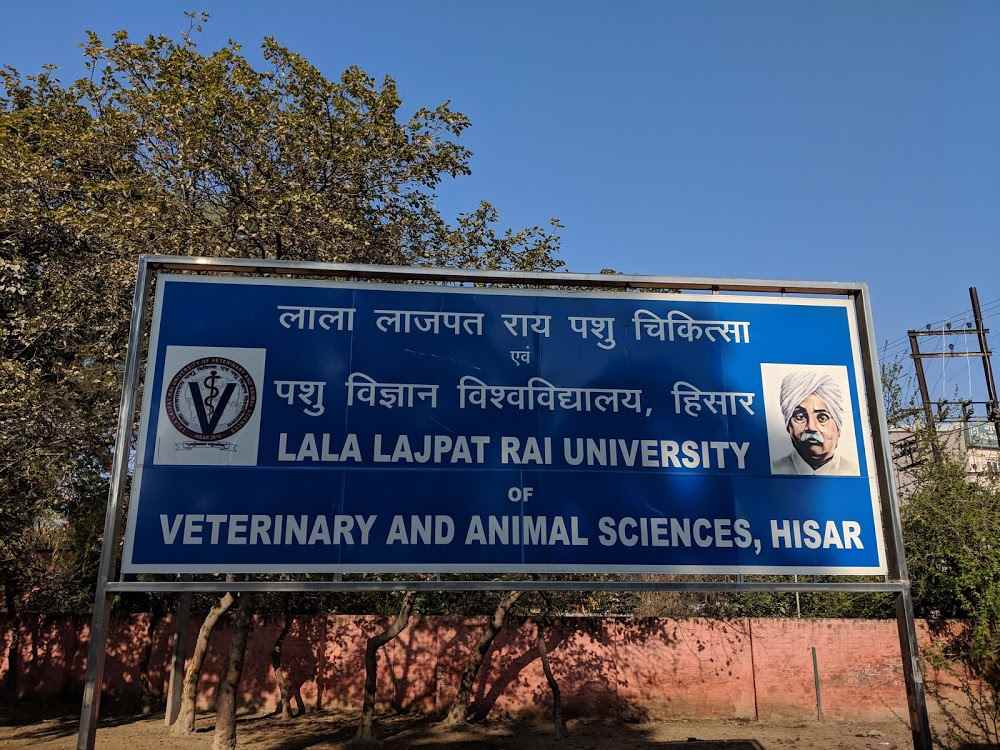 Lala Lajpat Rai University of Veterinary & Animal Sciences Haryana