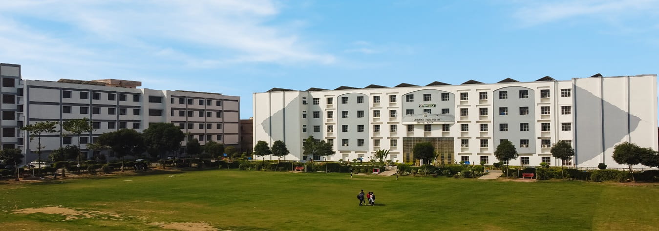 Lingaya’s Vidyapeeth Haryana