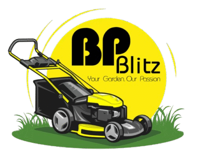 BP_Blitz-removebg-preview