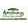 Amazing_Tree_Services_square